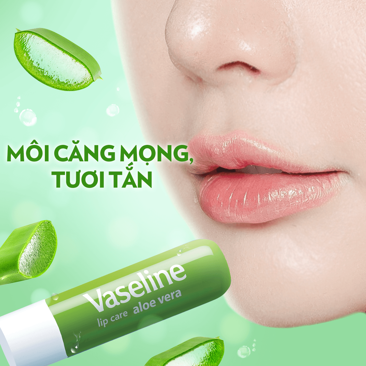 son-duong-moi-vaseline-lip-therapy-aloe-vera-lo-hoi-4-8g