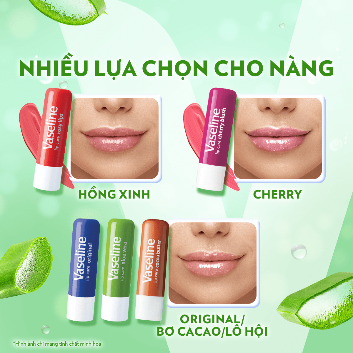 son-duong-moi-vaseline-lip-therapy-aloe-vera-lo-hoi-4-8g