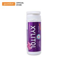 KẹO Gum Không ĐườNg Hương Blueberry Mint Xylitol Lotte 26,1Gr