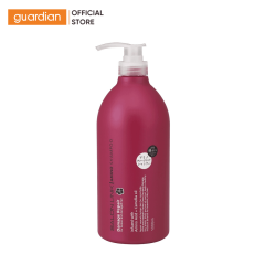 Dầu Gội Hoa Trà Phục Hồi Tóc Hư Tổn Salon Link 1000Ml