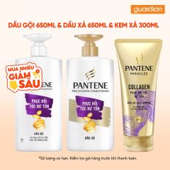 Combo 1 Dầu Gội Pantene Pro-V Phục Hồi Hư Tổn 650ml + 1 Dầu xả 650ml + 1 dầu xả siêu dưỡng 300ml
