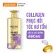 Dầu Xả Siêu Dưỡng Pantene Miracles - Phục Hồi Hư Tổn - Chai 480ml