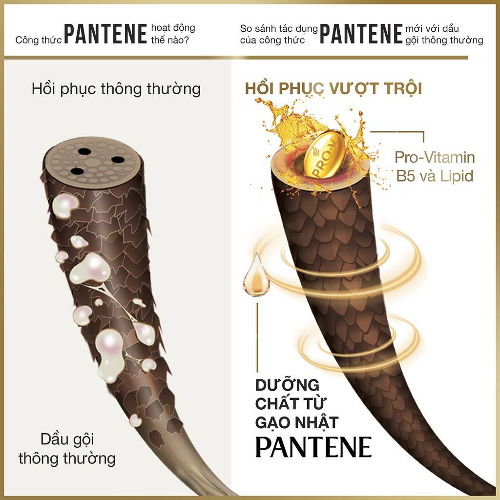 dau-goi-cham-soc-toc-giup-phuc-hoi-pantene